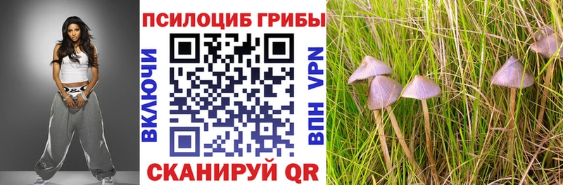 Псилоцибиновые грибы мицелий  Купить где  Майский 